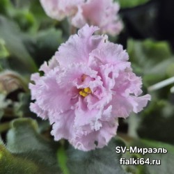 SV-Мираэль